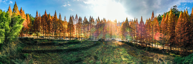 从山海到烟火，福建承包你的元旦小长假！