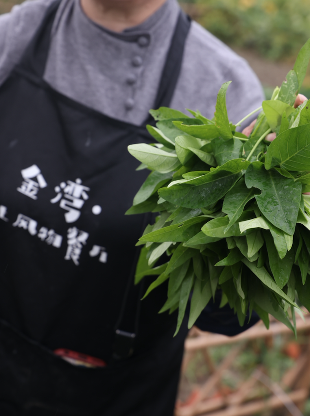 围炉+露营+泡汤+农耕……扬州这里一站式承包全家暖冬欢乐！