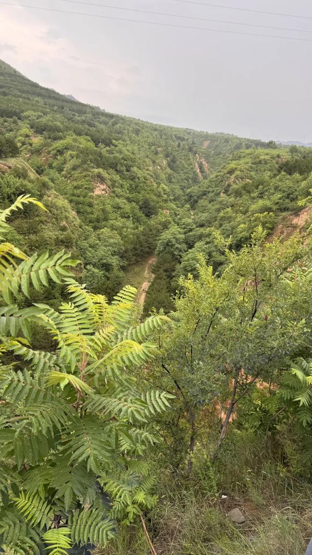 避暑去大同（三）