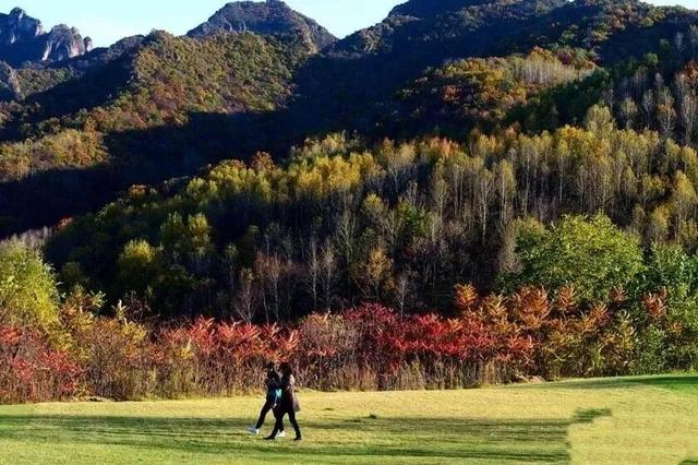 绝美！今秋，就去北京这些登山步道赏红叶！
