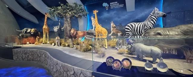 展览升级！“水晶宫”首次面向公众开放