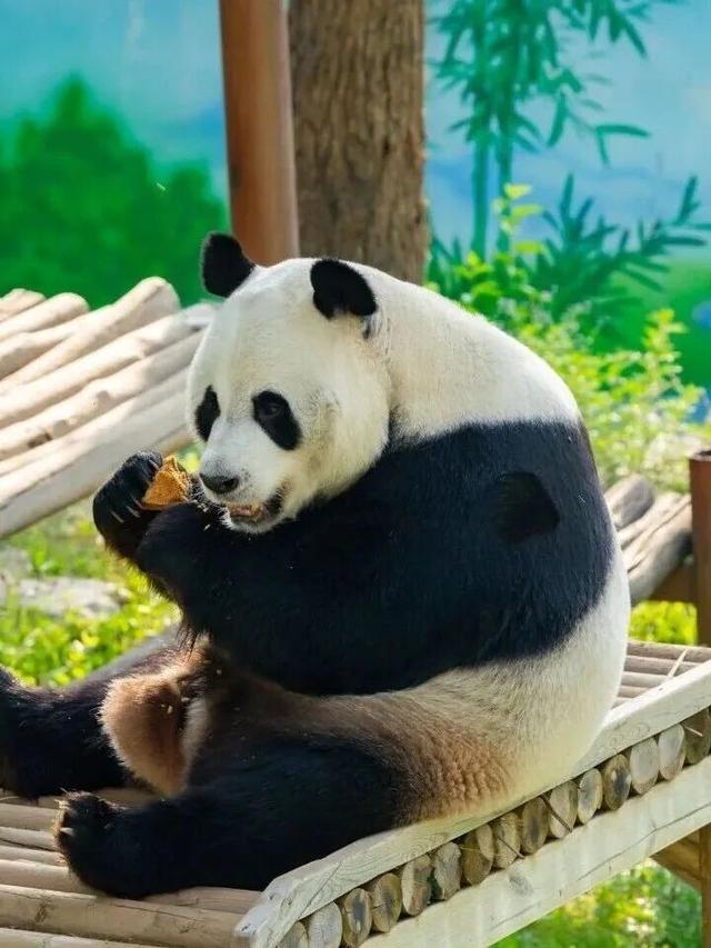 免门票！请收下洛阳对全国教师的这份专属宠爱～