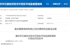 未经检验合格、未办理特种设备使用登记  重庆蜀第电梯有限公司被罚5000元图片