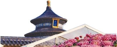 彩叶秋菊映古建 京华盛景入画卷