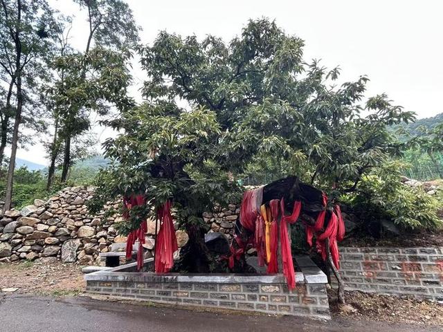 周末游西营主题线路：徒步探秘游