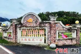 打好新时代“侨”牌  浙江文成玉壶龙一村展百年侨乡新活力图片