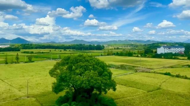 赣鄱青黛处，水墨映归程