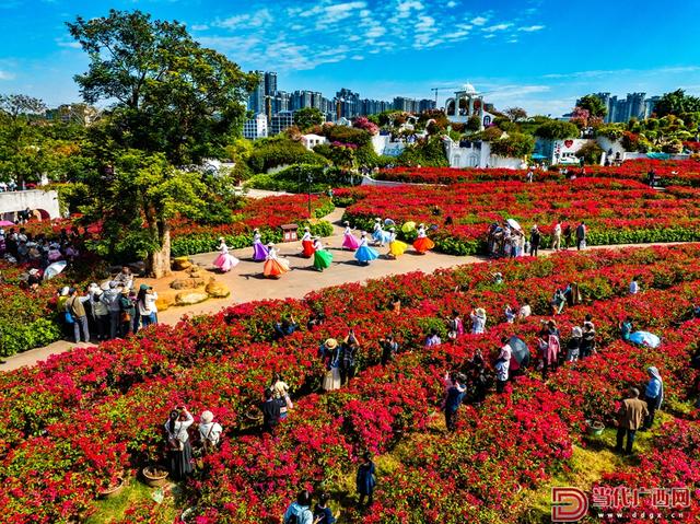图集｜冬日青山美 游人醉其间