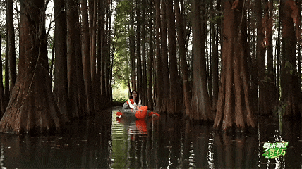 七星岩沉浸式打卡指南｜跟着走，解锁山湖秘境的深度玩法
