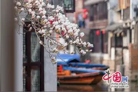 宋韵芳华·花漾周庄！春日特惠专场为你而来图片