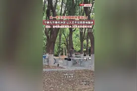 大一学生在校园树林里玩DJ，宁静与节奏的冲突，让人忍不住原地蹦迪，“20m外听不到”图片