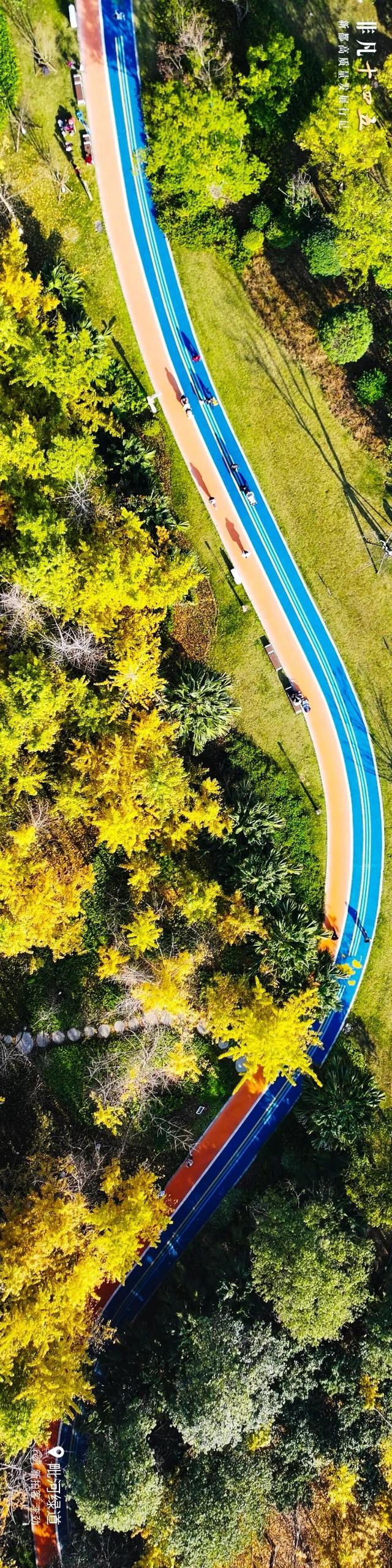 飞“阅”新都 | 一座生长在公园里的城市