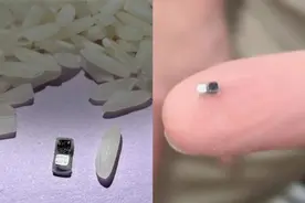 新型心脏起搏器问世：比米粒还小，可微创植入体内图片