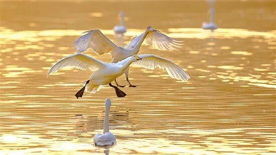 光影中的三门峡（563）