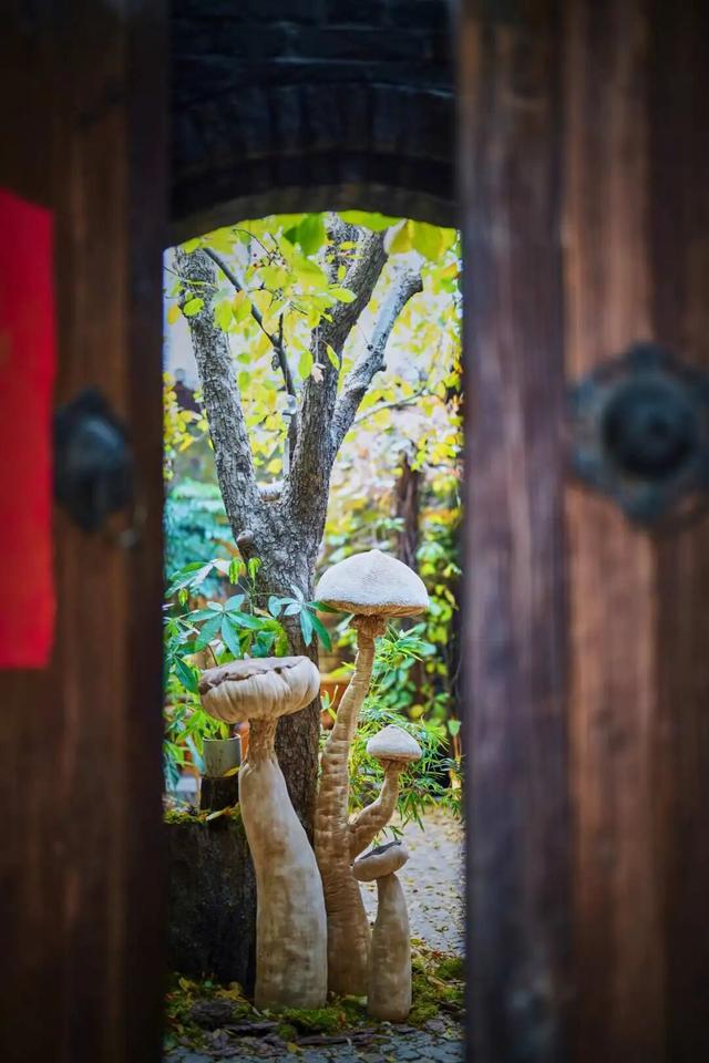 来东城这个胡同小院，邂逅蘑菇精灵的童话秘境——