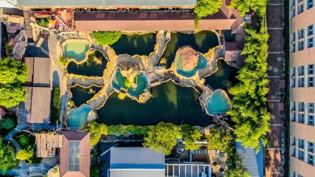 “泡汤局”是时候约起来了