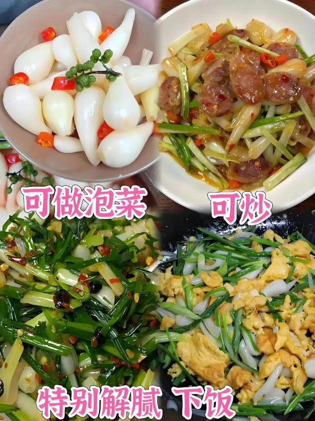 盘点那些被读错的植物｜荸荠、蕺菜、藠头，见过吃过也听过，就是不会读？