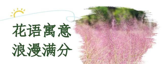 粉了！粉了！这一波华容“圈”粉了！