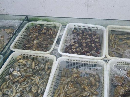 文化共生：啤酒节与青岛本土文化的交融共舞