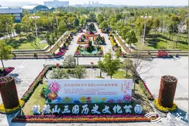 美不胜收！武汉经开区2024年金秋菊展来了图片