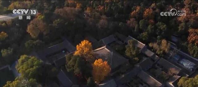 绾青丝着唐装、走进书中美景……传统文化生动“破圈”撬动消费澎湃活力