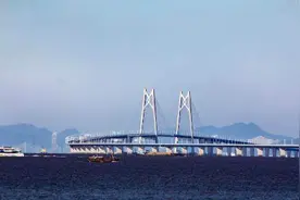 粤同行丨连续8年互访，粤桂合作结出新硕果图片