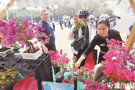 厦门市第二届市树市花市鸟主题活动暨第十届市民绿化节启动图片