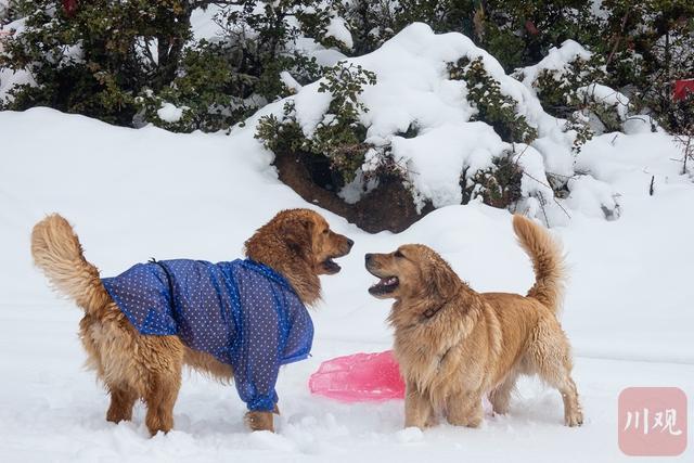 C视觉·“镜”行时㉓|七彩云南：26个民族的诗意家园（人文篇）