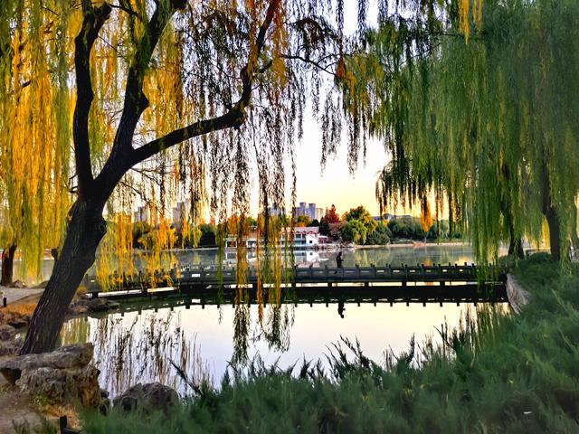 太美了！北京紫竹院如油画般梦幻