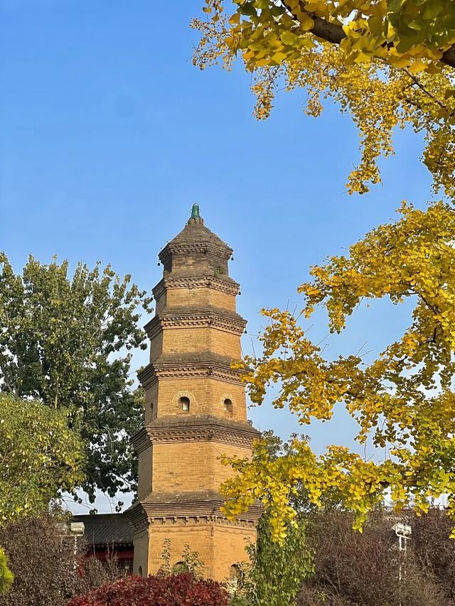 “碑林寻古•建藏千年”研学线路，带你在行走中探秘碑林古建之美