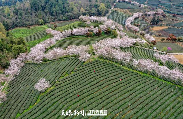 余庆旅游出行攻略来啦！这几条线路请收好！