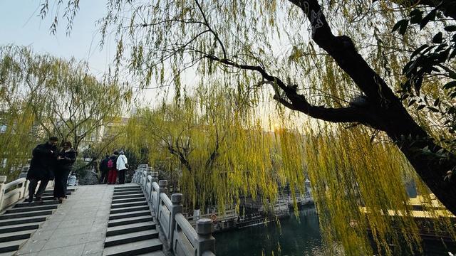 新视界｜济南护城河公园：清泉映垂柳 游客乐冬游