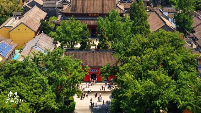 【国庆研学第一弹】栖霞山“我的森林地图”研学招募！五感森林探险、星空夜话会齐上阵！