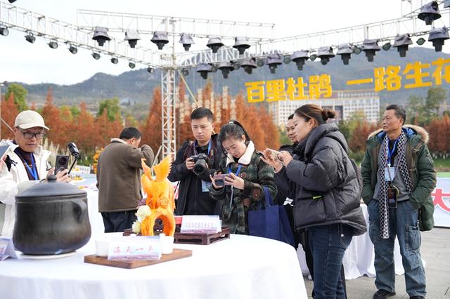 贵州百里杜鹃：“温泉＋”让冬日“热资源”变身经济“热引擎”