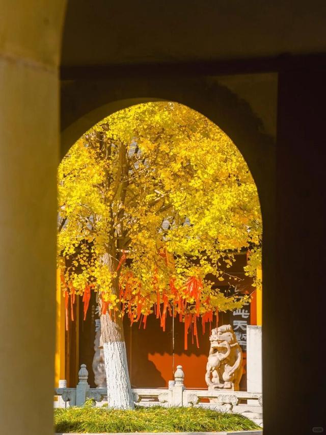 秋日限定“双骄”：从赏到玩转的完整攻略！