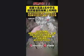 成都4名初中生组团虐猫并拍视频上传 被停课反省图片