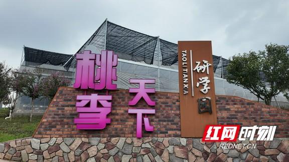 文旅项目精彩亮相，点亮“洞庭水乡 自在沅江”新体验