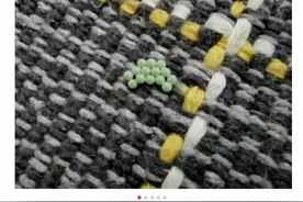 小心了！很多人家中突然大量出现……图片