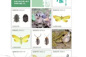物种王国图片