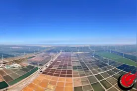 海防办事处万亩炫彩盐田登上中央电视台CCTV2财经频道《天气预报》栏目图片