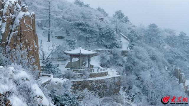 泰山冬日初雪 漫山银白如画