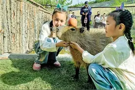 鄂尔多斯野生动物园成文旅现象级打卡地图片