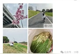 太火爆！最近杭州这拨大军又出动了，有人带麻袋都装不下……图片