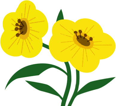 通辽惊现“机票刺客”！通辽新开通航线只要XXX元？