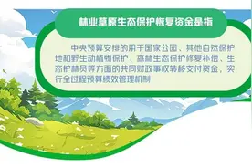 财政筑牢林业草原生态保护屏障图片