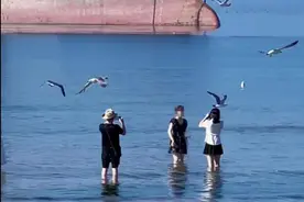 外籍货轮搁浅山东海滩近一年成网红打卡点图片