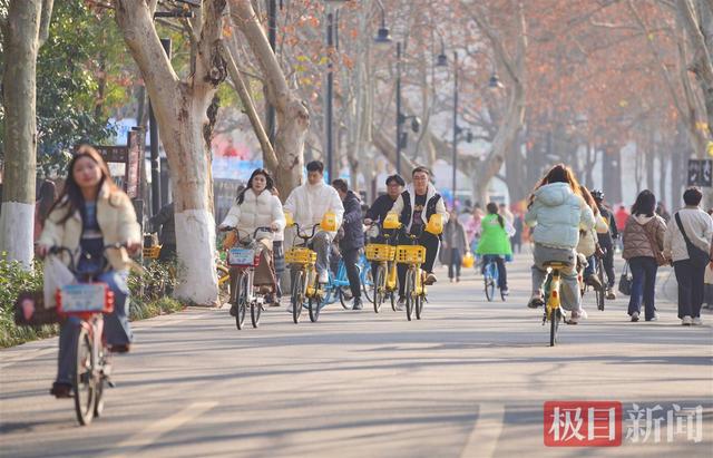 武汉冬日限定体验 ：20℃暖风中骑行，和西伯利亚红嘴鸥一起过“夏天”