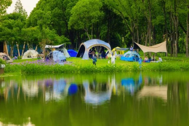 在桃浦，邂逅绿色与科技共生的城市新境