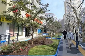 影像故事丨焕新蝶变，绘就幸福新景图片