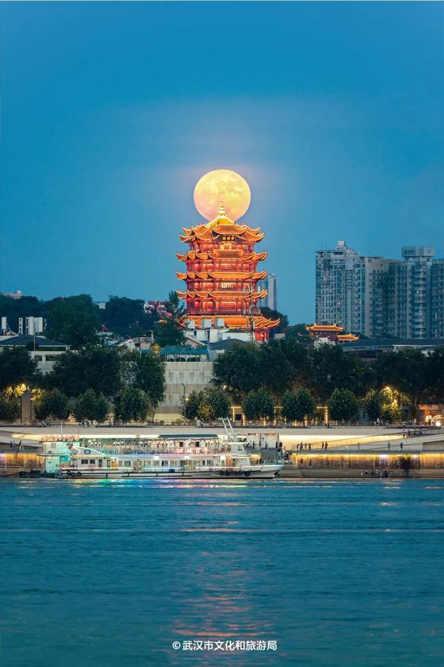 藏不住了，汉阳江边的好全武汉都知道了